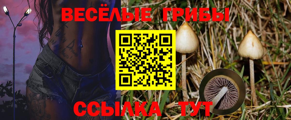 Галлюциногенные грибы GOLDEN TEACHER Донецк